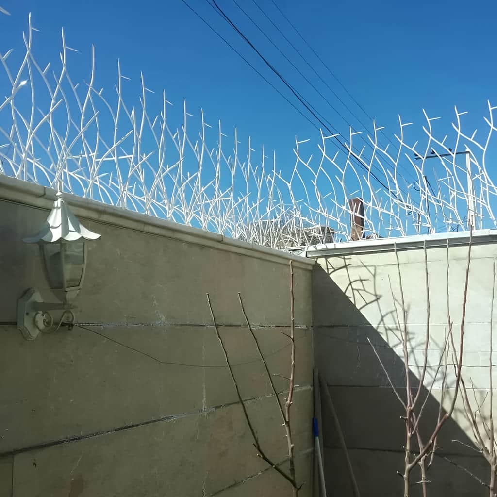 نصب حفاظ شاخ گوزنی پرتراکم امنیتی روی تاج دیوار