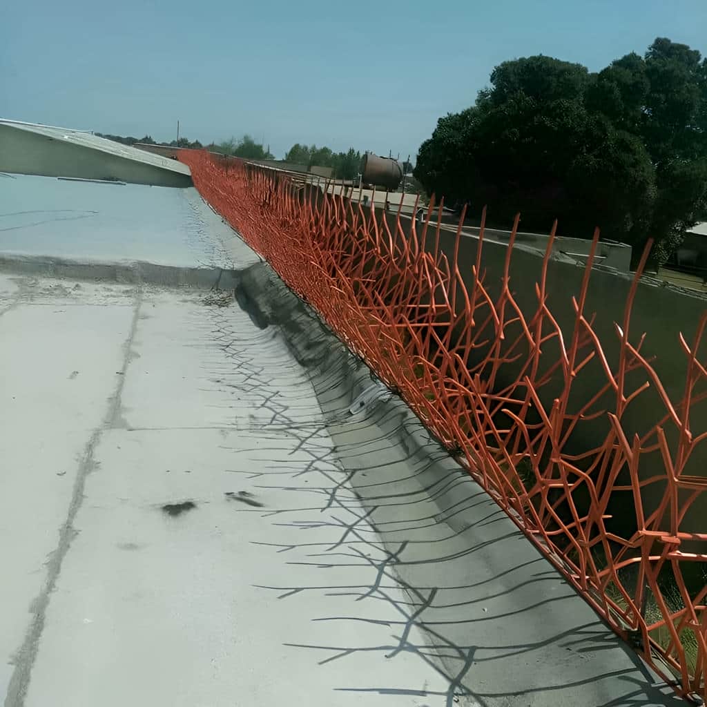حفاظ بوته ای مناسب دیوار ساختمان حفاظ بوته ای مناسب دیوار ساختمان