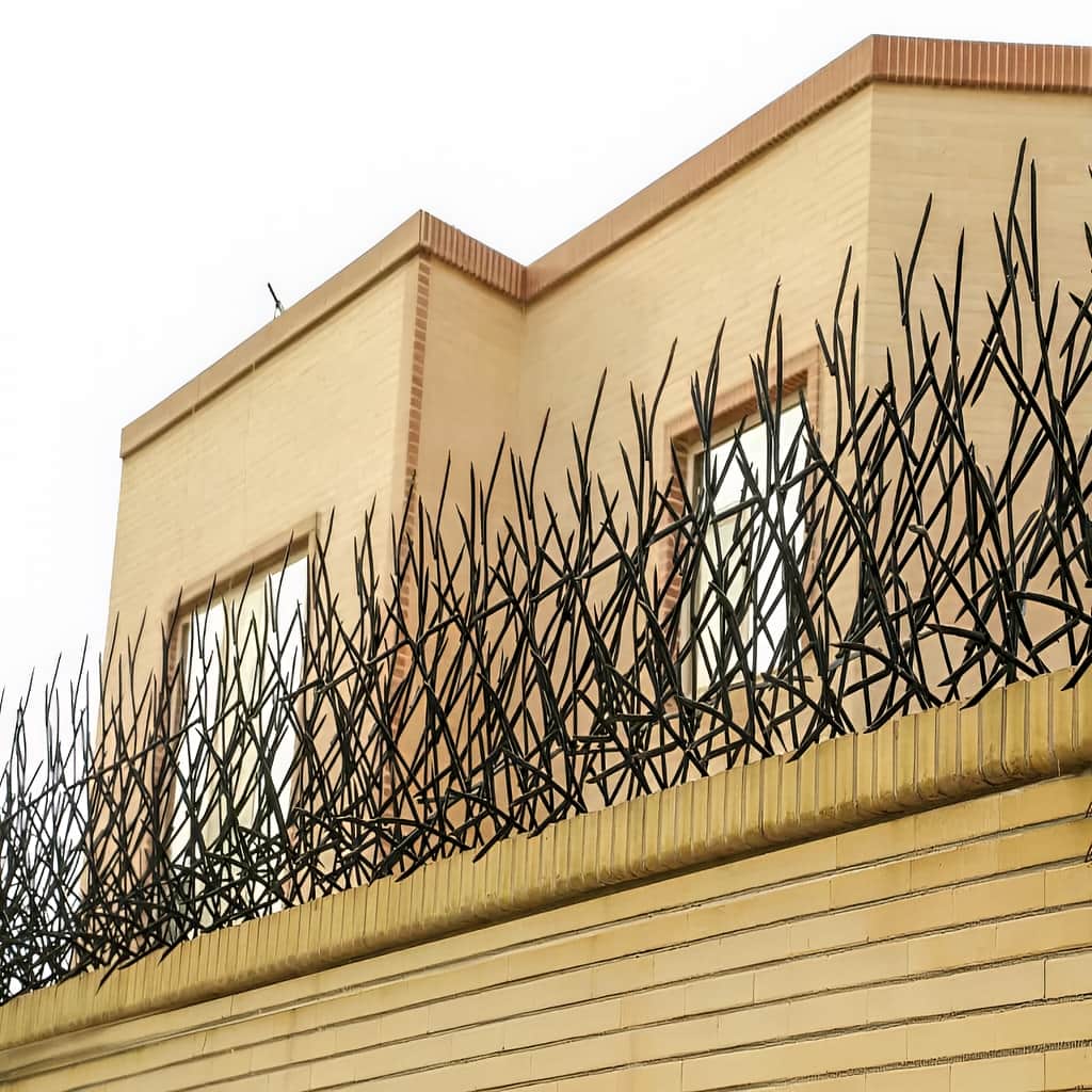 حفاظ بوته ای رنگ شده