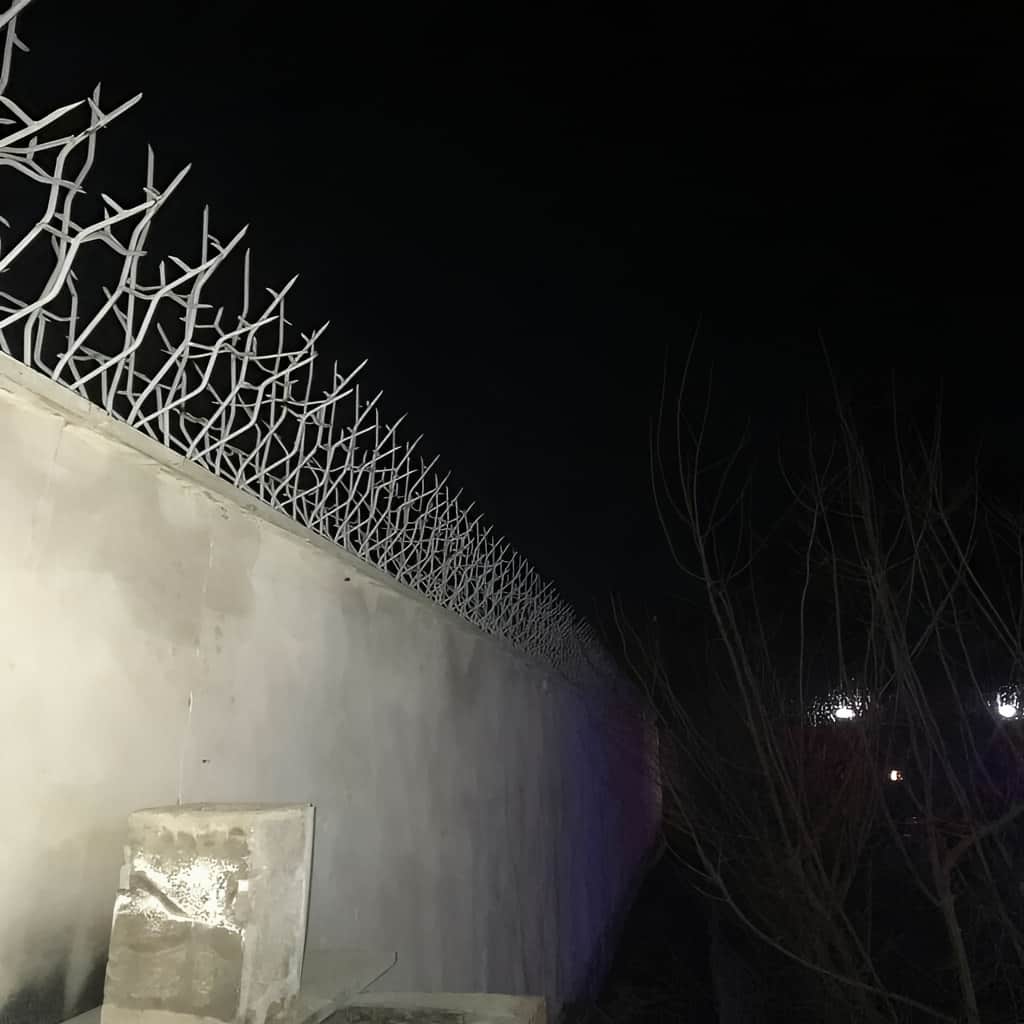حفاظ شاخ گوزنی متراکم