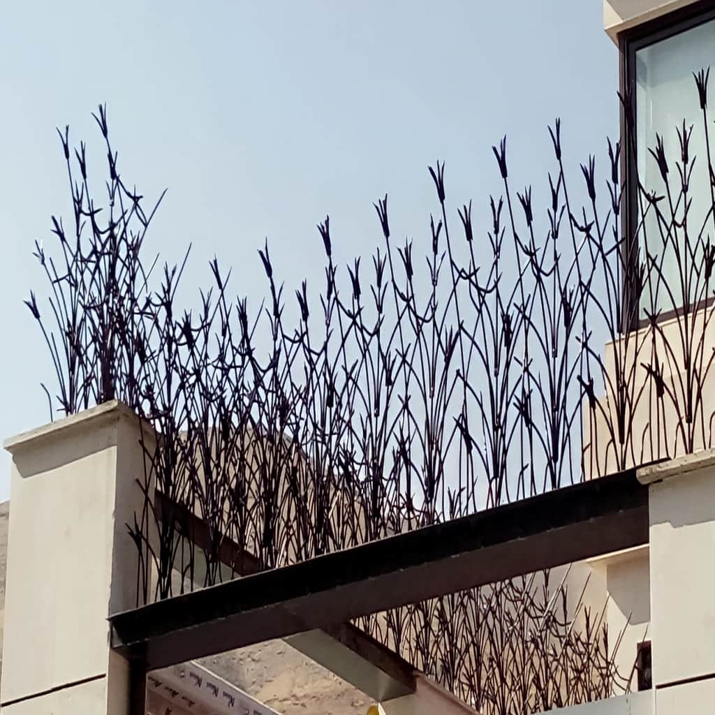 حفاظ غنچه ای شاخه دار