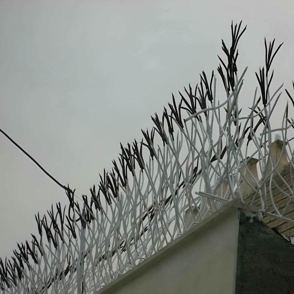 حفاظ شاخ گوزنی طرح f شاخهای منظم حفاظ شاخ گوزنی طرح f شاخهای منظم