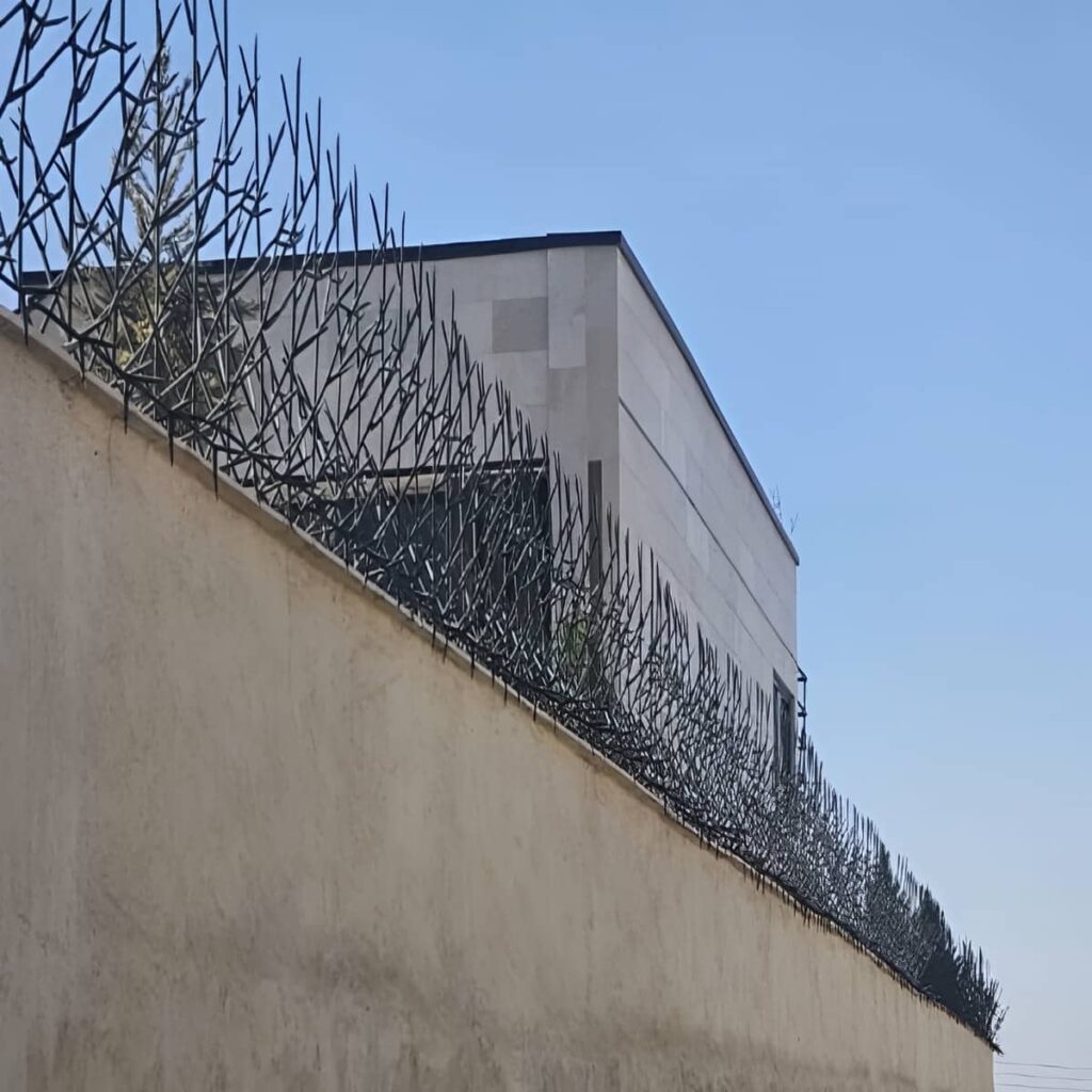 حفاظ شاخ گوزنی طرح اف با پوشش سطحی