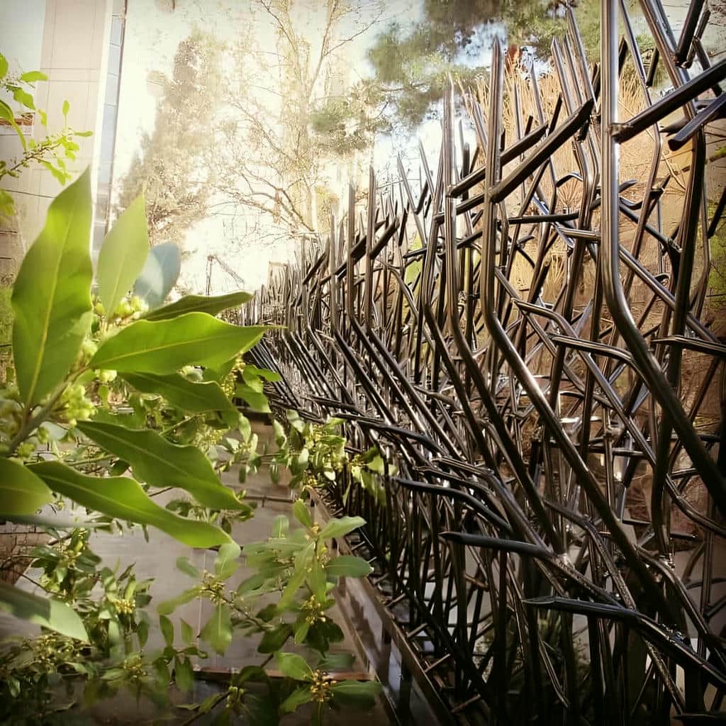 حفاظ دیوار خطی با شاخه های منظم