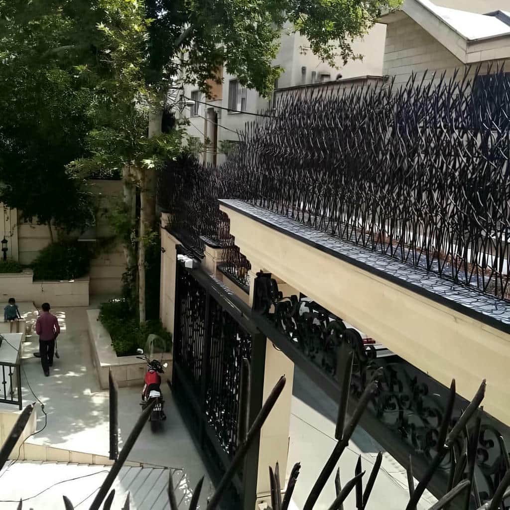 حفاظ دیوار شاخ گوزنی مشکی استان چهارمحال و بختیاری