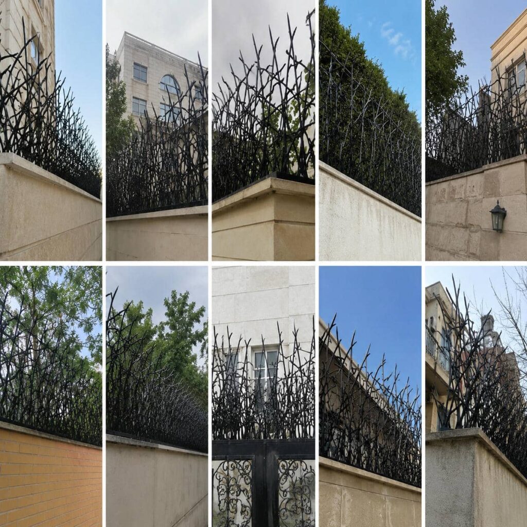حفاظ دیوار شاخ گوزنی مشکی در استان بوشهر