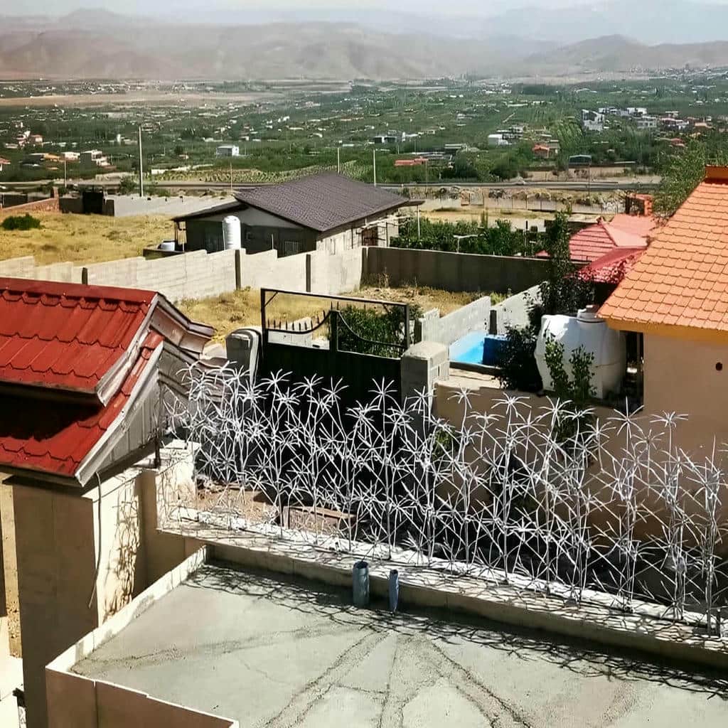حفاظ دیوار شاخ گوزنی مشکی در استان سیستان و بلوچستان