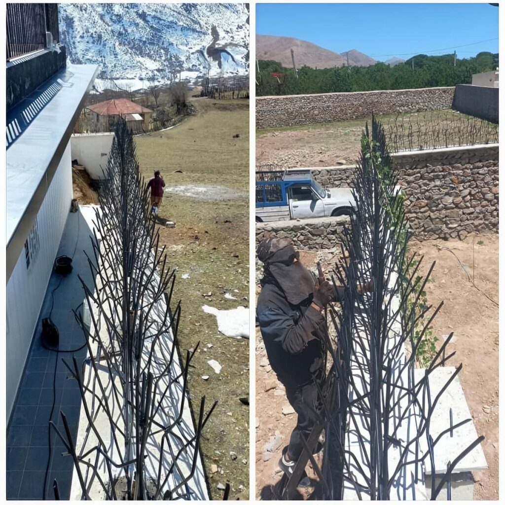حفاظ دیوار شاخ گوزنی مشکی در استان لرستان