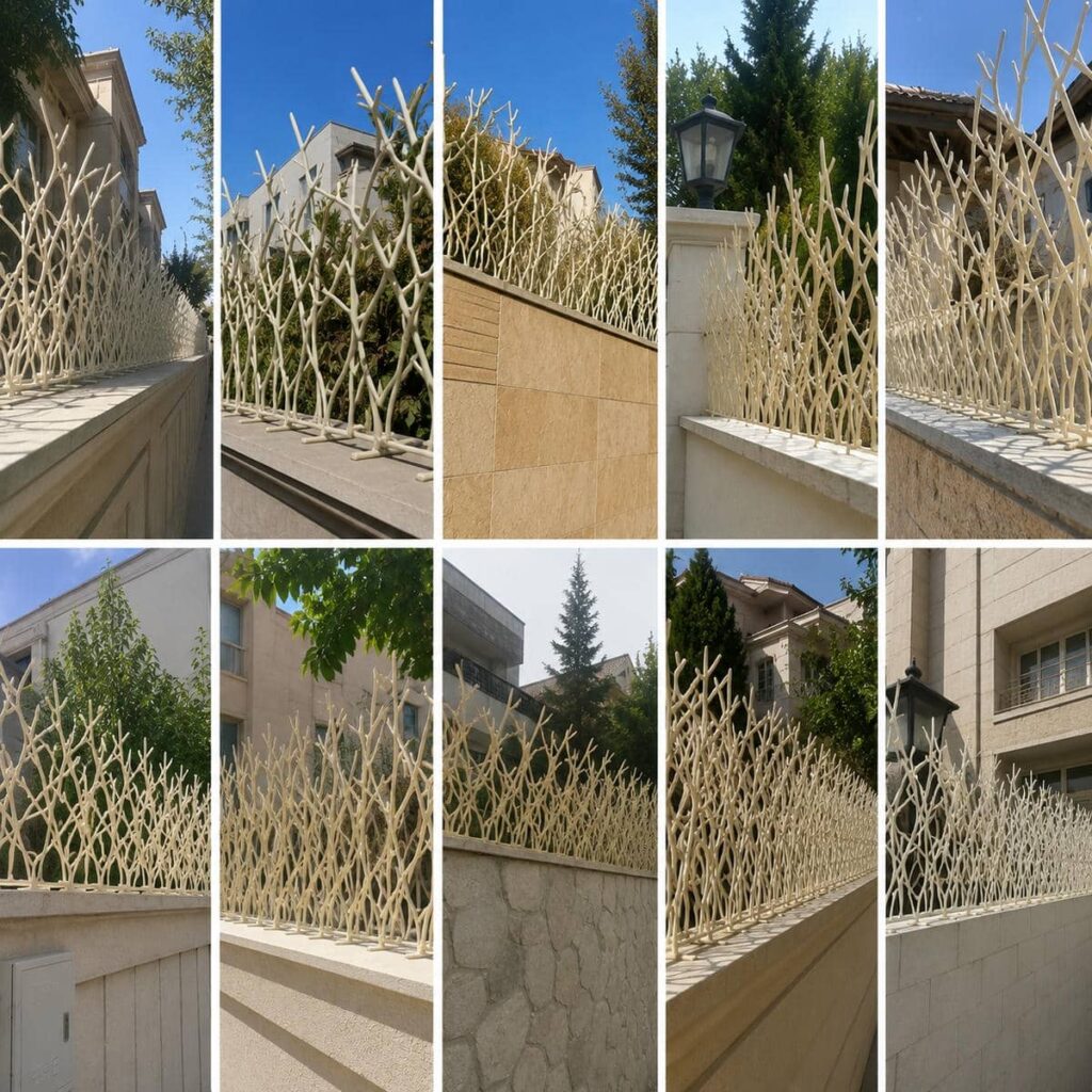 حفاظ دیوار شاخ گوزنی مشکی در استان کرمان