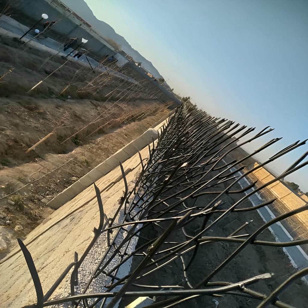 حفاظ دیوار شاخ گوزنی مشکی در زاهدان