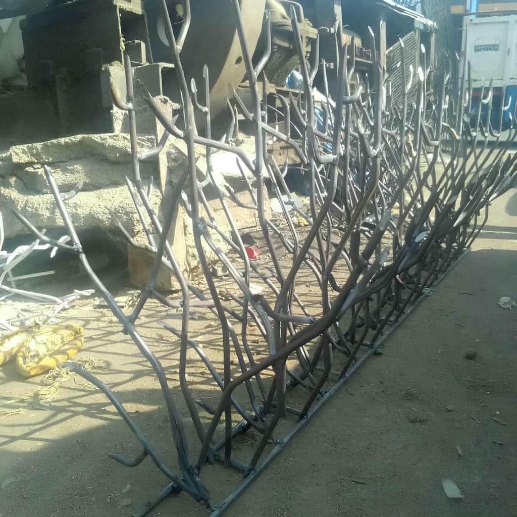 حفاظ دیوار شاخ گوزنی مشکی در سمنان