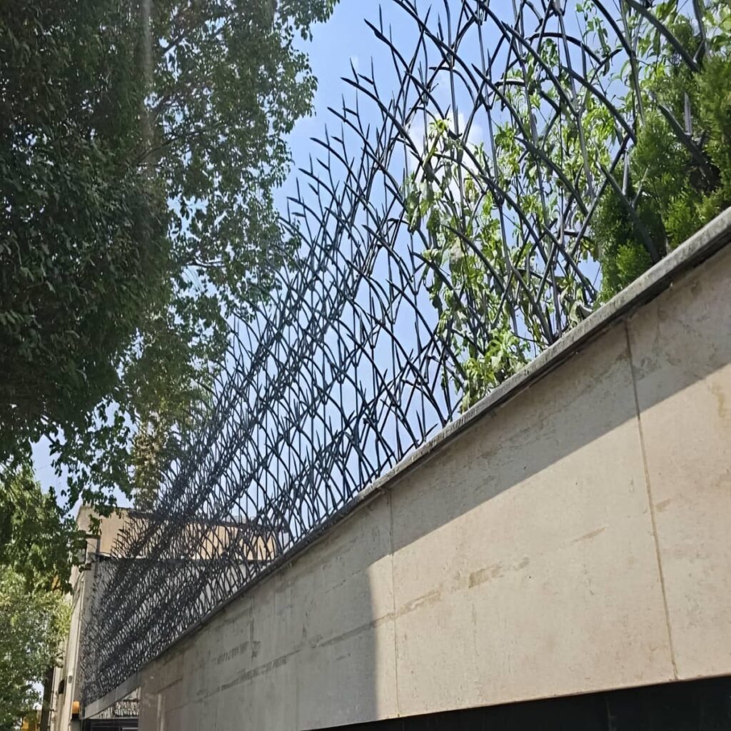 حفاظ دیوار متراکم با شاخه های منظم مشکی