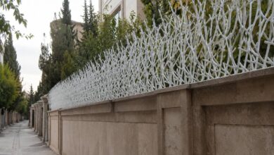 حفاظ دیوار شاخ گوزنی در همدان روی نمای سنگی حفاظ دیوار شاخ گوزنی در همدان روی نمای سنگی