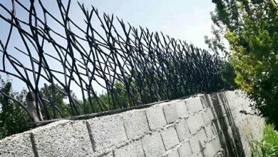 حفاظ دیوار شاخ گوزنی مشکی استان اردبیل