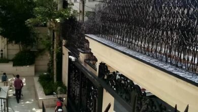 حفاظ دیوار شاخ گوزنی مشکی استان چهارمحال و بختیاری حفاظ دیوار شاخ گوزنی مشکی استان چهارمحال و بختیاری