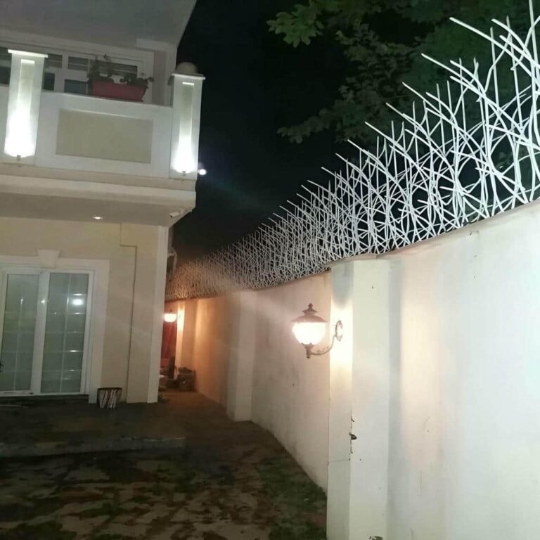 حفاظ دیوار شاخ گوزنی مشکی در بوشهر حفاظ دیوار شاخ گوزنی مشکی در بوشهر