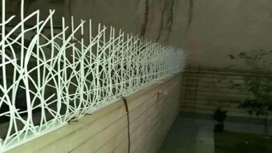 حفاظ دیوار شاخ گوزنی مشکی در ساری حفاظ دیوار شاخ گوزنی مشکی در ساری